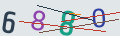 verifycode